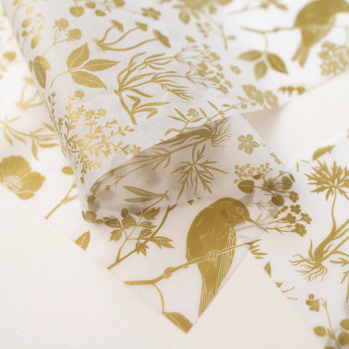 Botanica Paper Co. Tissue Paper - Gold Meadow