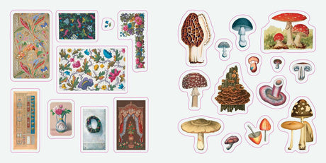 Botanicals: A Smithsonian Sticker Book By the Smithsonian Institution