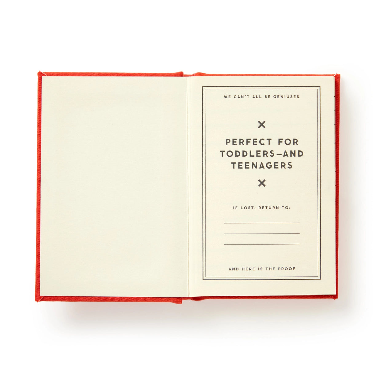 Kids say the darndest (and dumbest) things—and now you have the perfect place to record every last one of them. This ridiculously small diary (just 2.75” x 3.75”) is made to capture all those hilarious, weird, and downright confusing quotes your little genius blurts out. With 112 gilded-edge pages, it’s like a time capsule for your kid’s finest moments of accidental comedy.

This diary might look sweet and old-fashioned, but on the inside? Pure chaos. It’s the ideal combo of elegant design and “I can’t beli