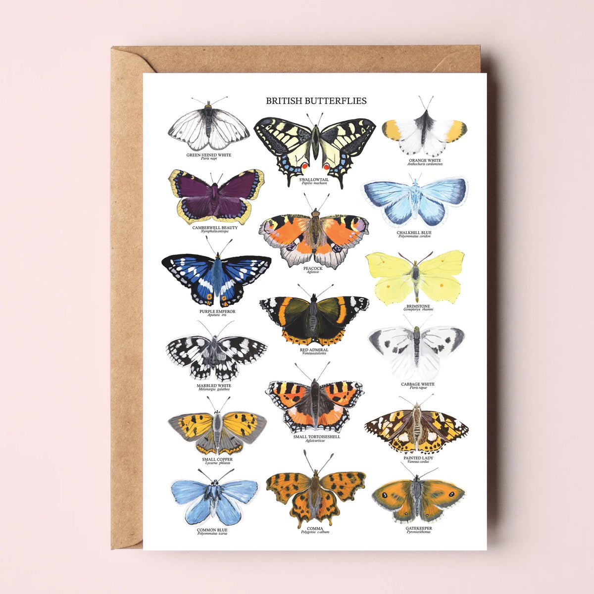 British Butterflies Greetings Card – Little Craft Place