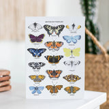 British Butterflies Greetings Card
