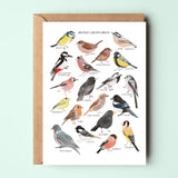 British Garden Birds Greetings Card