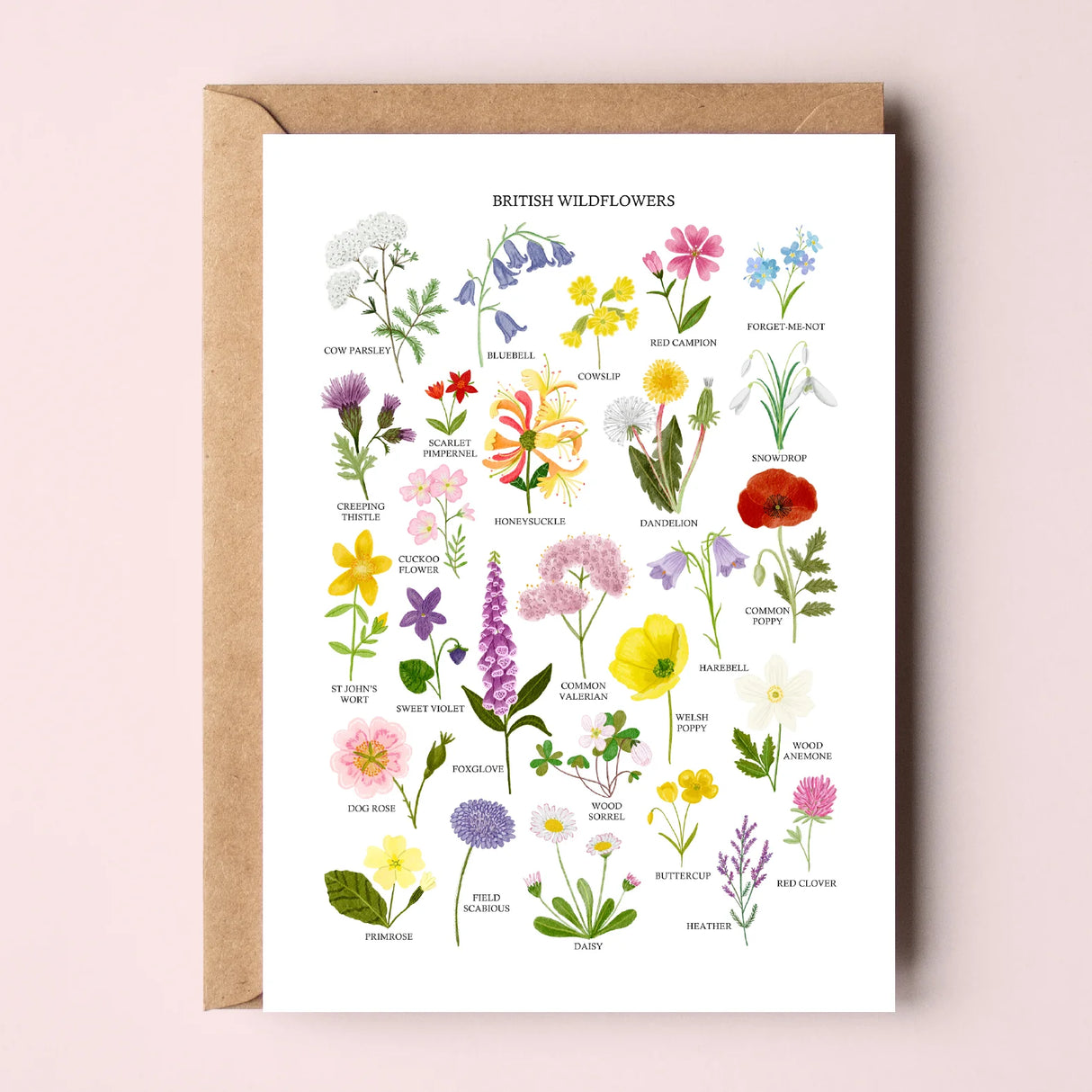 British Wildflowers Greetings Card