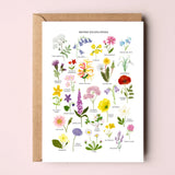 British Wildflowers Greetings Card