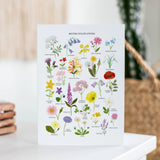 British Wildflowers Greetings Card