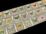 Butterflies Labels Roll Washi Sticker