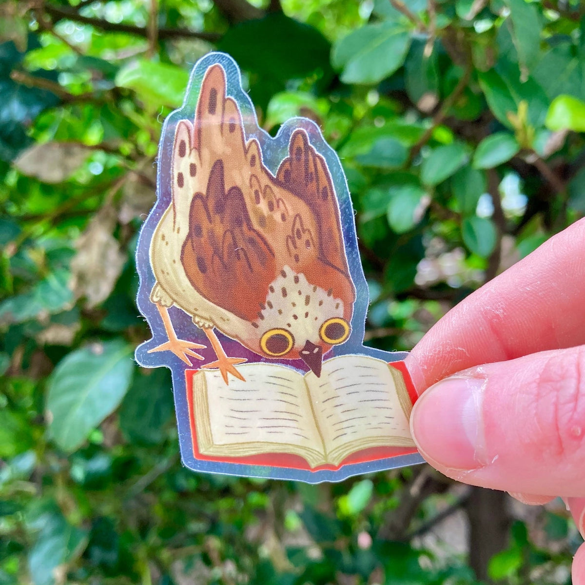 Cute little bird thoroughly engrossed by a very good book. Perfect clear sticker for any book lover.