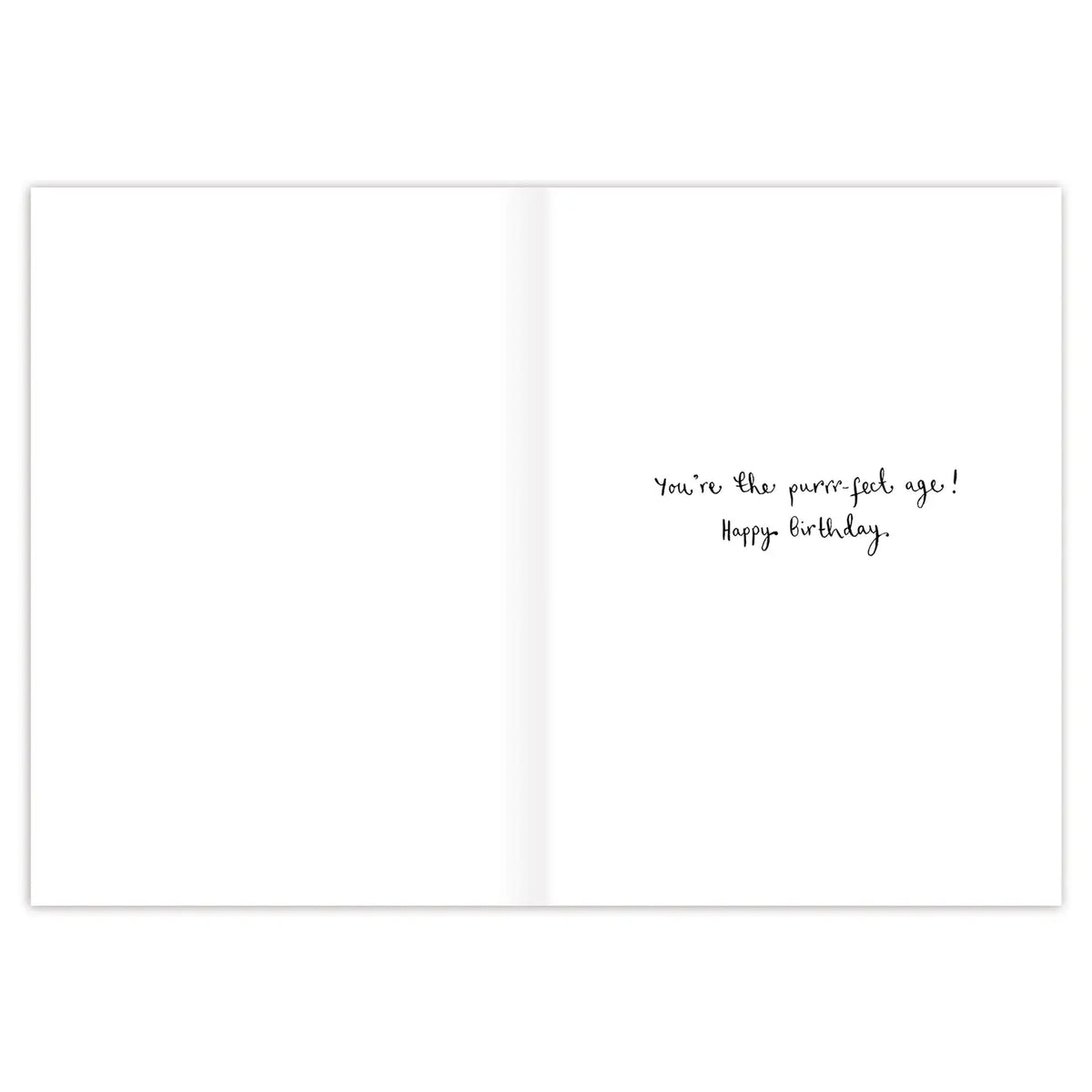 Cats You're How Old? Birthday Card

Inside verse: You're the purrr-fect age! Happy Birthday

• Size: A6, 4.6" x 6.4"
• Illustrated by Louise Mulgrew
• Paired with a Kraft envelope
• Printed in the USA on high-quality recycled post-consumer waste paper

About The Artist: Working with gouache and watercolor, Louise designs in her tiny studio in Brighton, England, inspired by her love of all animals, and passion for the natural world. Louise was named 2023 Artist of the Year by the USA Greeting Card Associatio