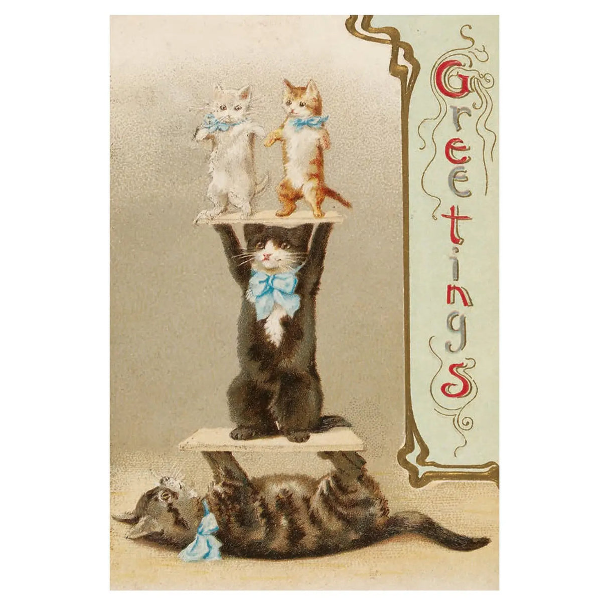 A set of fifty beguiling, funny, and artistic feline postcards selected from the incomparable collection of the Victoria and Albert Museum.

Bringing together fifty of the V&amp;A’s most adorable, stylish, and charming cats, this boxed postcard set features a wide range of art styles, from the Edwardian eccentricity of Louis William Wain to the whimsy of early Victorian Christmas cards, and from the fish-stealing strays of sixteenth-century genre painting to the sophisticated felines of 1920s Paris.

Includ