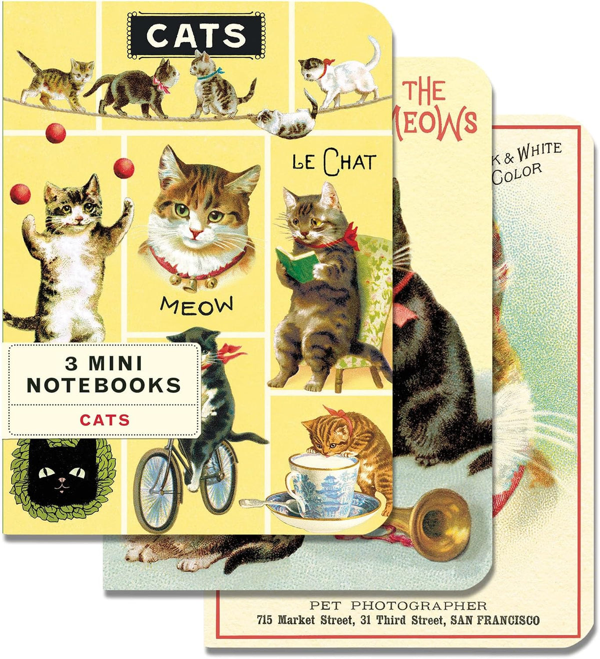 Cavallini &amp; Co. 3 Mini Notebooks - Cats

This Set includes 3 high quality notebooks