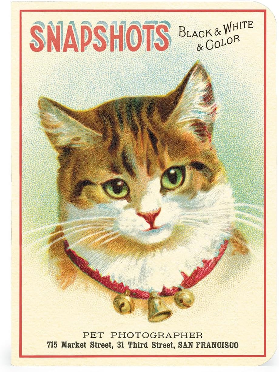 Cavallini &amp; Co. 3 Mini Notebooks - Cats

This Set includes 3 high quality notebooks