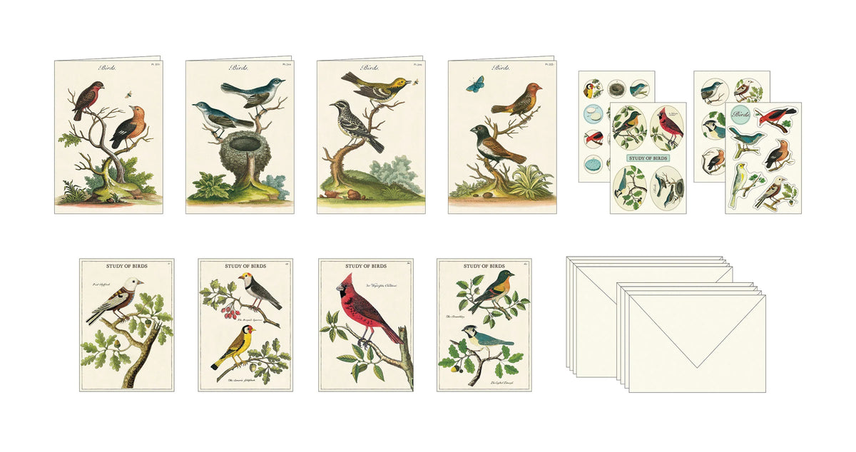 Cavallini & Co. - Birds Stationery Set