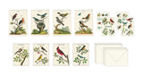 Cavallini & Co. - Birds Stationery Set