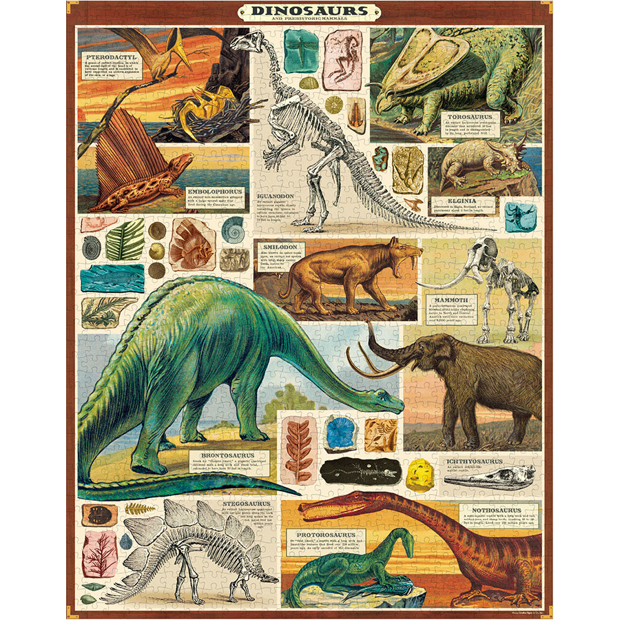 Cavallini & Co 1,000 Piece Puzzle - Dinosaurs