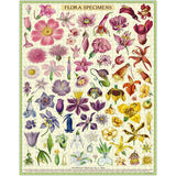 Cavallini & Co 1,000 Piece Puzzle - Flora Specimens