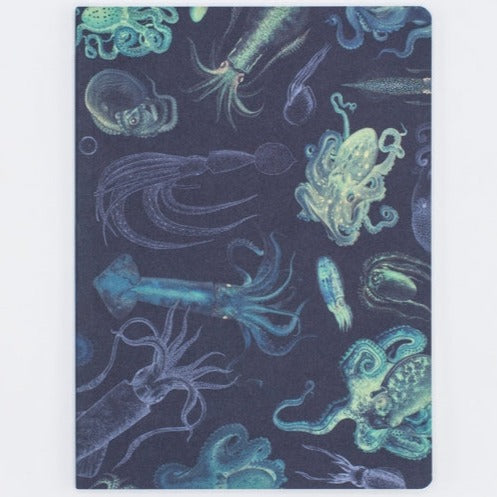 Cephalopods Octopus & Squid Softcover - Lined
