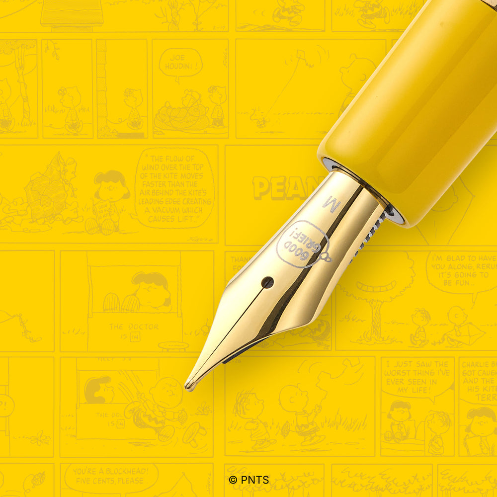 Esterbrook x PEANUTS Charlie Estie