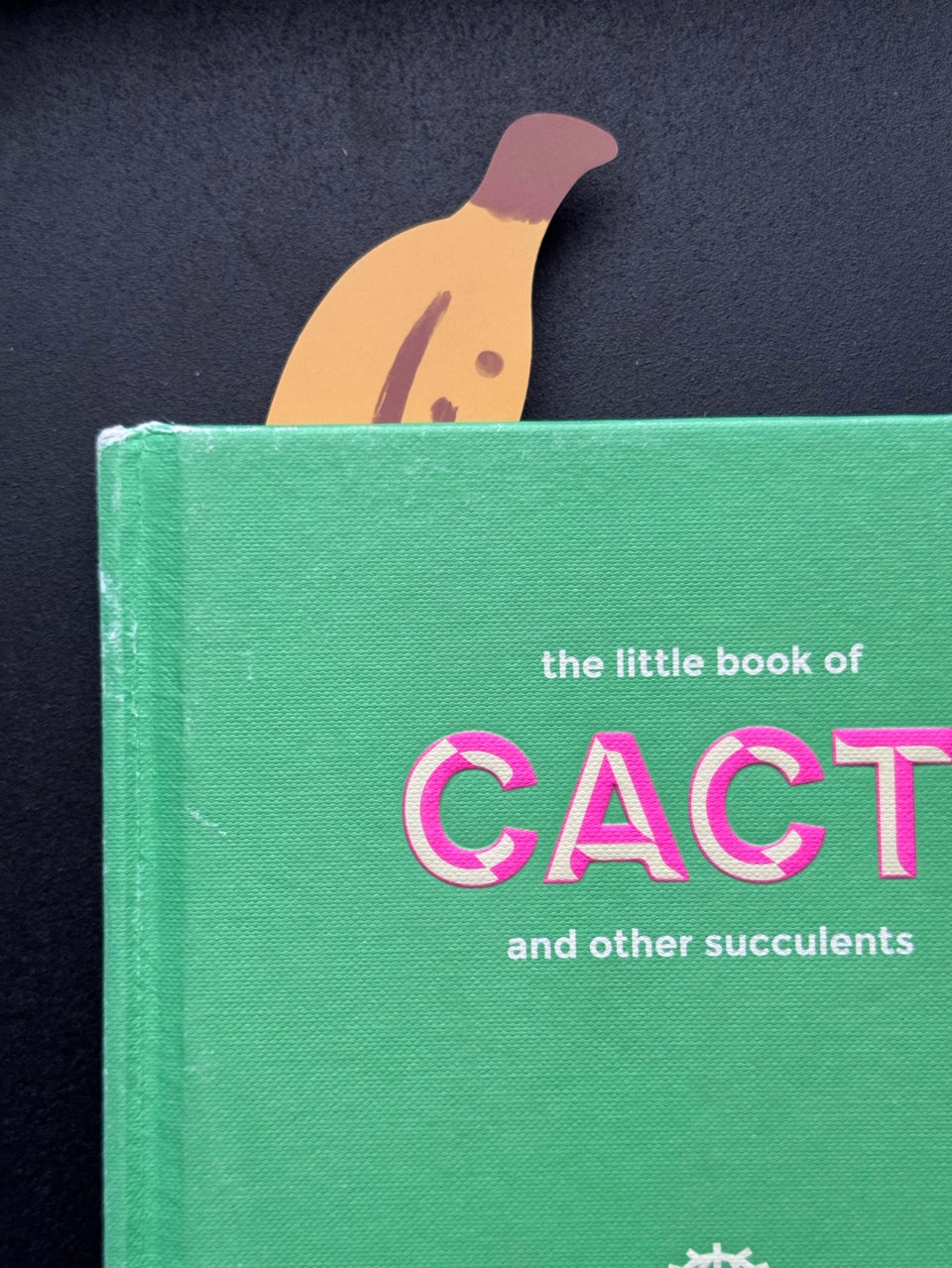 Banana Bookmark by Clem & Co.

It’s bananas to not want a bookmark this cute! It truly a-peels to anyone who reads a bunch of books!