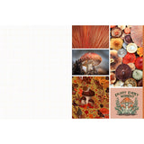 Featuring more than 400 photos and illustrations, Cut &amp; Collage Mushrooms and Fungi invites you to cut out and piece together your own works of art inspired by the treasures found on the forest floor.

Let your creativity and imagination roam free as you create collages, scrapbooks, vision boards, and more by mixing and matching vibrant colors and textures. Stunning photographs and illustrations on high-quality glossy paper showcase the beauty and magic of the fungus kingdom, including macro photography