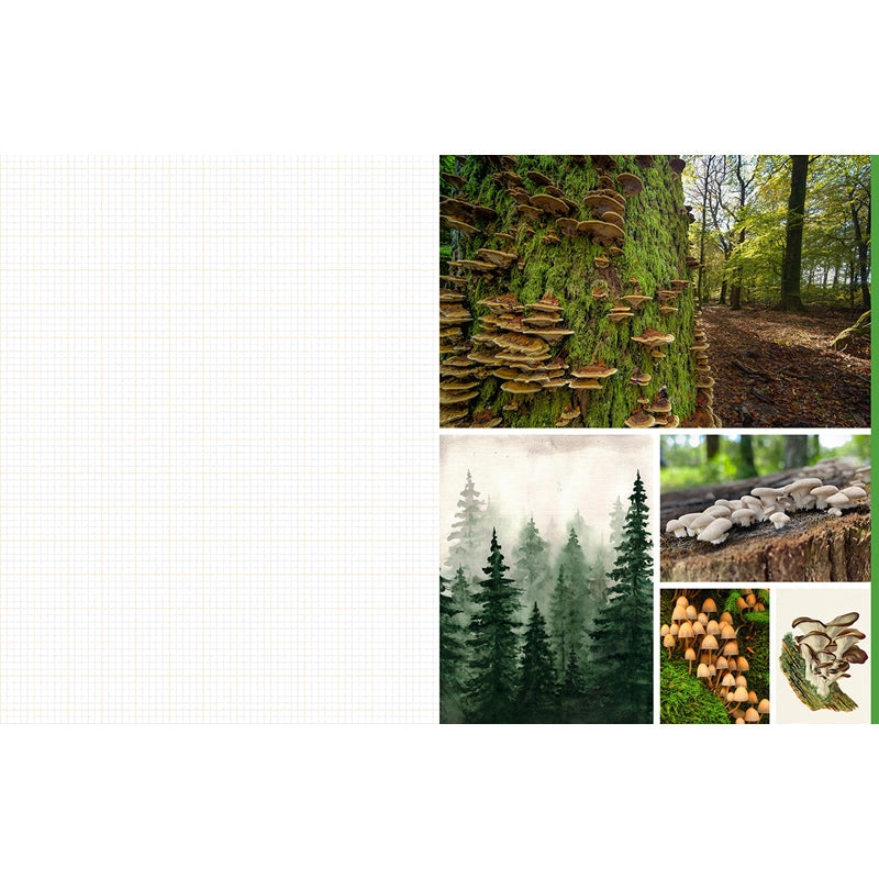 Featuring more than 400 photos and illustrations, Cut &amp; Collage Mushrooms and Fungi invites you to cut out and piece together your own works of art inspired by the treasures found on the forest floor.

Let your creativity and imagination roam free as you create collages, scrapbooks, vision boards, and more by mixing and matching vibrant colors and textures. Stunning photographs and illustrations on high-quality glossy paper showcase the beauty and magic of the fungus kingdom, including macro photography