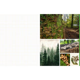 Featuring more than 400 photos and illustrations, Cut &amp; Collage Mushrooms and Fungi invites you to cut out and piece together your own works of art inspired by the treasures found on the forest floor.

Let your creativity and imagination roam free as you create collages, scrapbooks, vision boards, and more by mixing and matching vibrant colors and textures. Stunning photographs and illustrations on high-quality glossy paper showcase the beauty and magic of the fungus kingdom, including macro photography