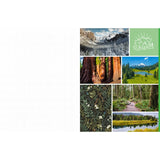 Cut &amp; Collage National Parks invites you to cut out and piece together your own works of art inspired by the surreal beauty of America’s national parks.

Whether you’re creating collages, scrapbooks, or vision boards, let your creativity and imagination roam free as you bring America’s most beloved natural treasures to life. Immerse yourself in vibrant colors, intricate textures, and breathtaking vistas as you mix and match photographs and illustrations. From the towering cliffs of Yosemite to the other