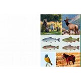 Cut &amp; Collage National Parks invites you to cut out and piece together your own works of art inspired by the surreal beauty of America’s national parks.

Whether you’re creating collages, scrapbooks, or vision boards, let your creativity and imagination roam free as you bring America’s most beloved natural treasures to life. Immerse yourself in vibrant colors, intricate textures, and breathtaking vistas as you mix and match photographs and illustrations. From the towering cliffs of Yosemite to the other