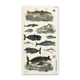 🎩🐳 Very distinguished, very deep, very delightful! This charming sheet is filled with dapper whales and curious sea creatures dressed for their grand ocean debut. With tiny top hats, monocles, and a wonderfully whimsical old-world feel, these gentle giants will bring plenty of seaside sophistication to your creations.

Top Coating: None
Adhesive Layer: Paper
Backing Layer: Paper
6.69"x3.54"
Weight: 0.03oz
1 Sheet Included