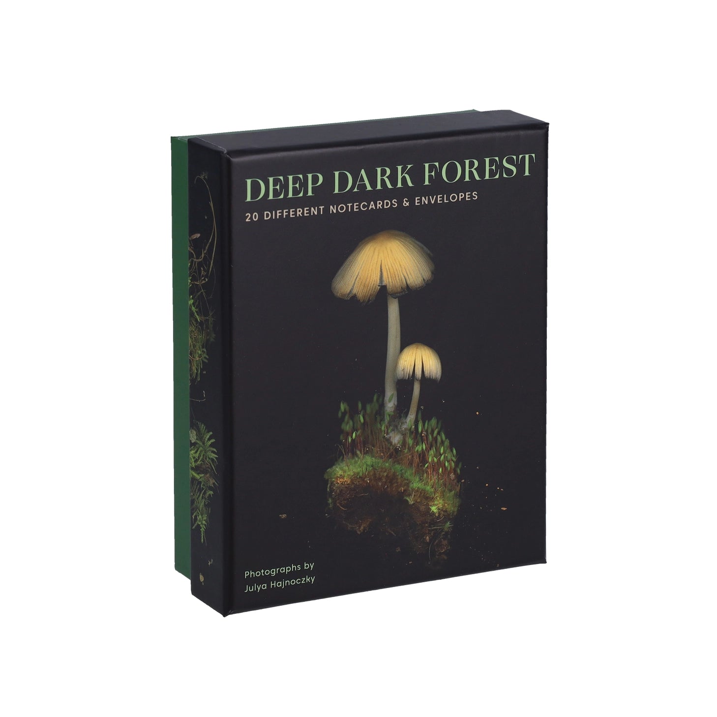 These luminous&nbsp;notecards capture the beauty of the forest floor, from ferns to fungi.

Share the wonders of the woods with fellow nature lovers. Julya Hajnoczky's photographs celebrate the oft-overlooked world of mushrooms, mosses, ferns, and other foraged treasures. Carefully arranged against striking black backgrounds, these portraits of biodiversity lend a fresh and sophisticated touch to your handwritten messages.