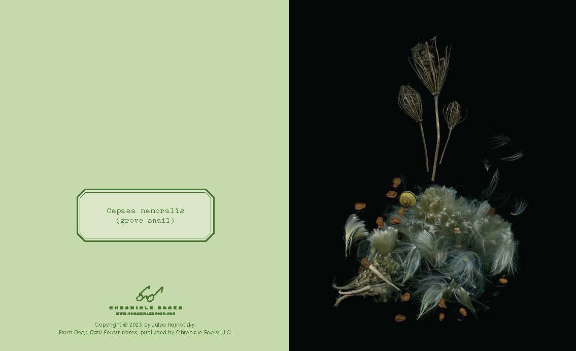 These luminous notecards capture the beauty of the forest floor, from ferns to fungi.

Share the wonders of the woods with fellow nature lovers. Julya Hajnoczky's photographs celebrate the oft-overlooked world of mushrooms, mosses, ferns, and other foraged treasures. Carefully arranged against striking black backgrounds, these portraits of biodiversity lend a fresh and sophisticated touch to your handwritten messages.