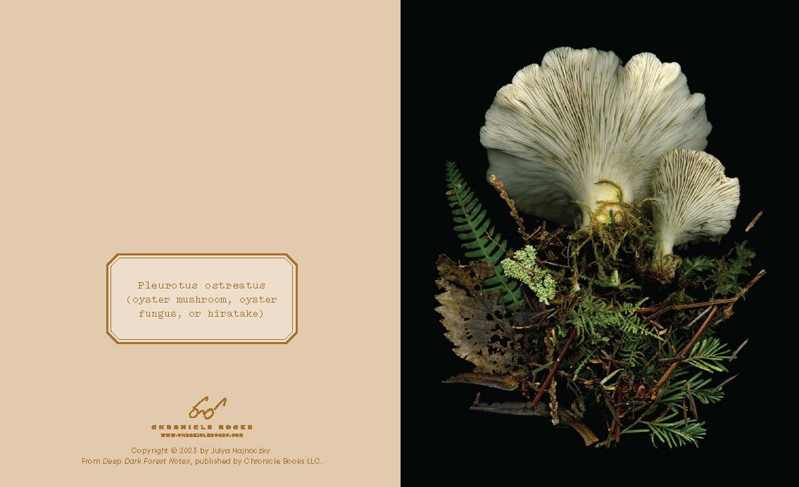 These luminous notecards capture the beauty of the forest floor, from ferns to fungi.

Share the wonders of the woods with fellow nature lovers. Julya Hajnoczky's photographs celebrate the oft-overlooked world of mushrooms, mosses, ferns, and other foraged treasures. Carefully arranged against striking black backgrounds, these portraits of biodiversity lend a fresh and sophisticated touch to your handwritten messages.
