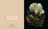 These luminous notecards capture the beauty of the forest floor, from ferns to fungi.

Share the wonders of the woods with fellow nature lovers. Julya Hajnoczky's photographs celebrate the oft-overlooked world of mushrooms, mosses, ferns, and other foraged treasures. Carefully arranged against striking black backgrounds, these portraits of biodiversity lend a fresh and sophisticated touch to your handwritten messages.