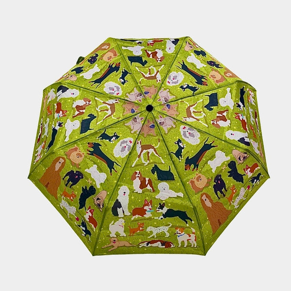 Dog Park Umbrella