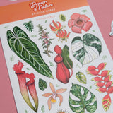 Drawn To Nature Botanicals Sticker Sheet Close Up