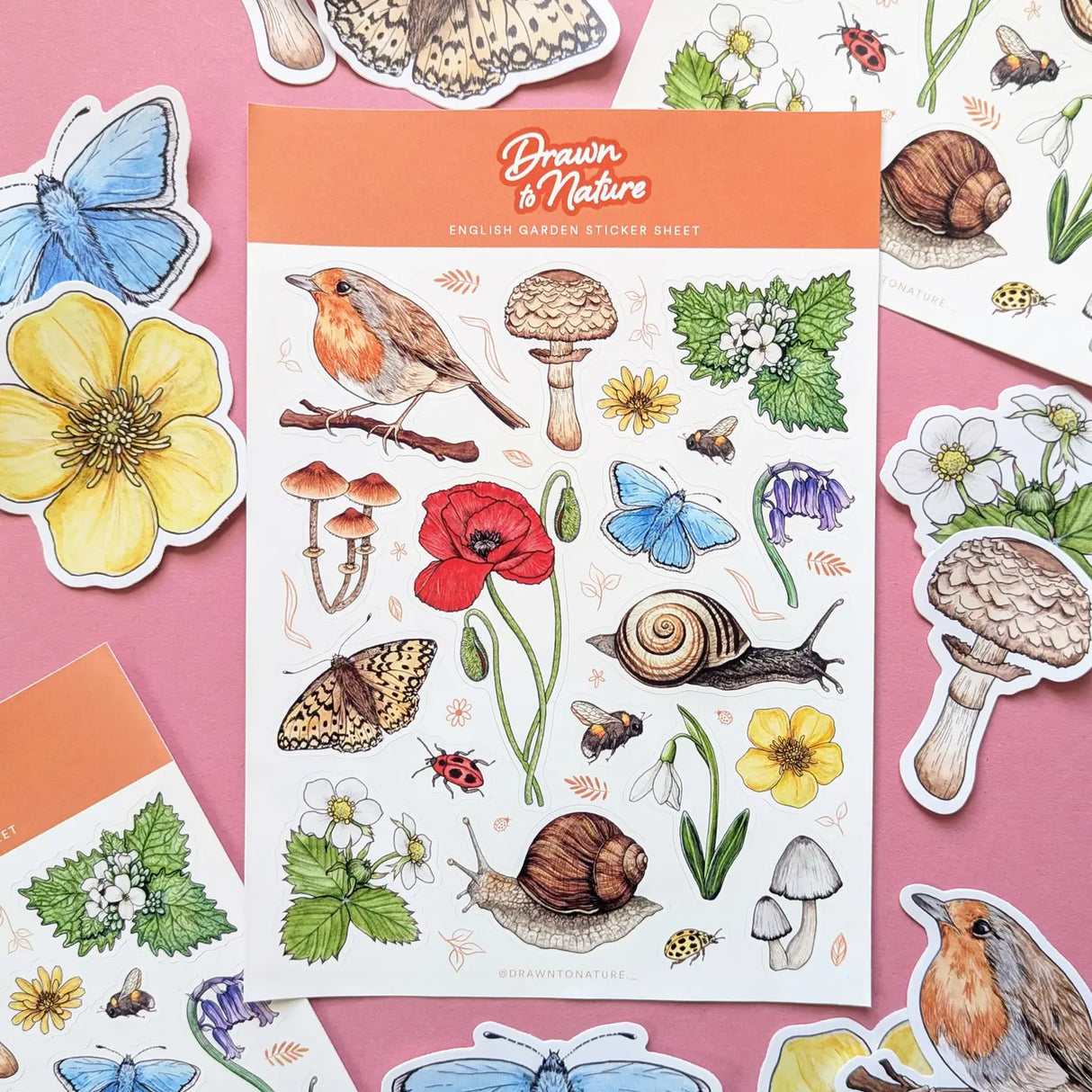 Drawn To Nature English Garden Sticker Sheet