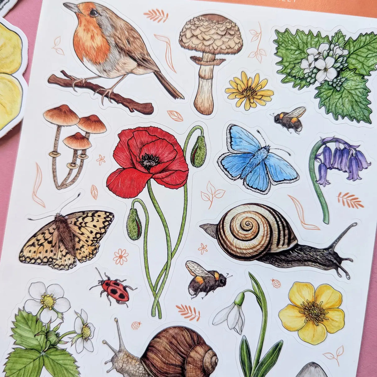 Drawn To Nature English Garden Sticker Sheet
