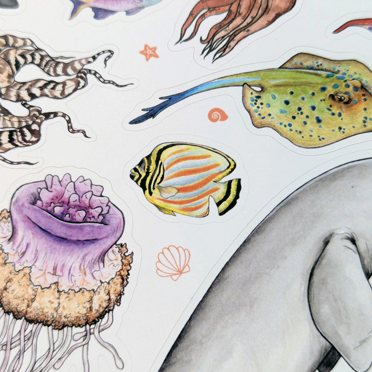 Drawn To Nature Sea Creatures Sticker Sheet
