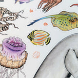 Drawn To Nature Sea Creatures Sticker Sheet