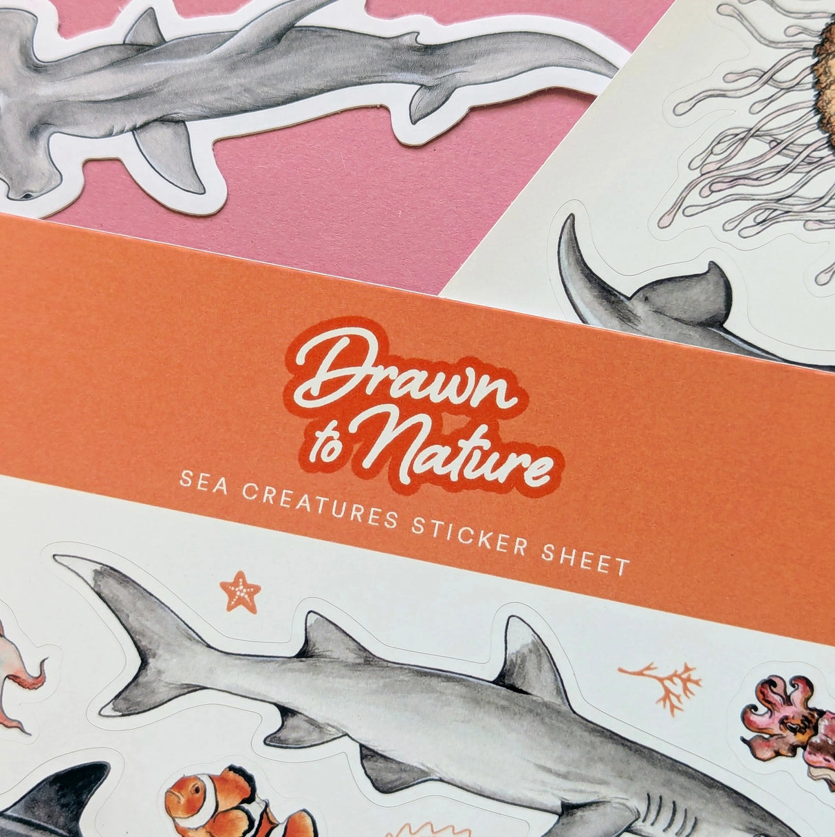 Drawn To Nature Sea Creatures Sticker Sheet