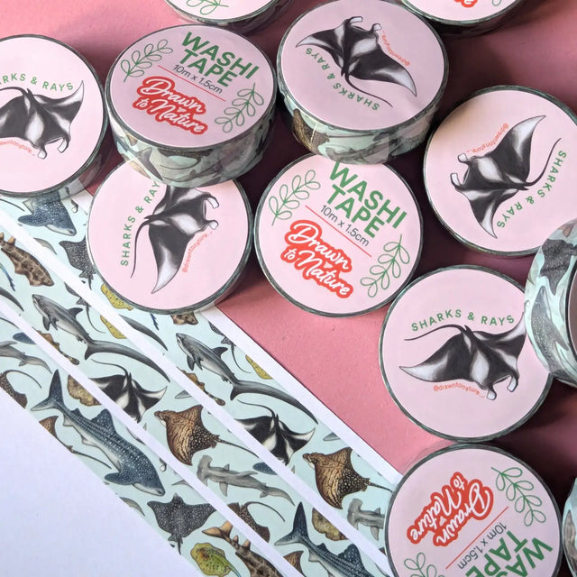 Drawn To Nature Sharks And Rays Washi Tape