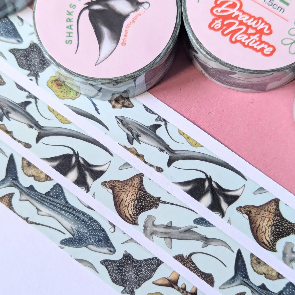 Drawn To Nature Sharks And Rays Washi Tape