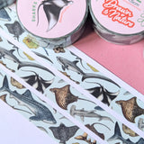 Drawn To Nature Sharks And Rays Washi Tape