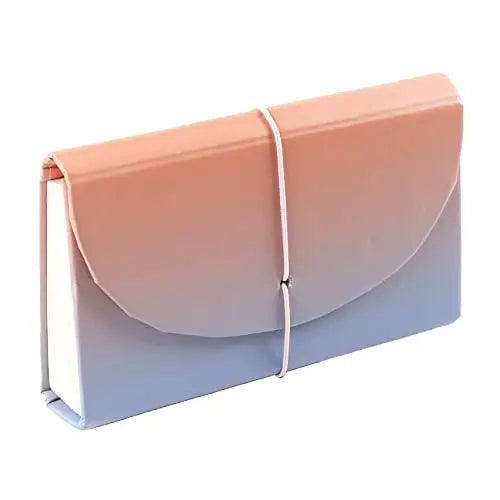 Erin Condren Budget Accordion File