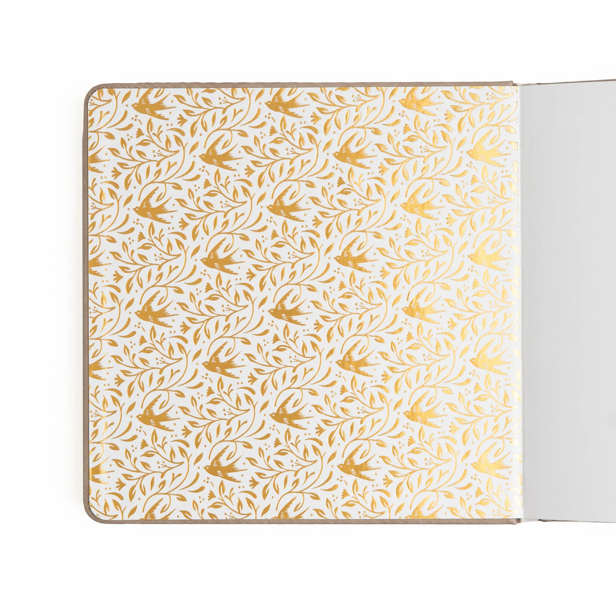 Archer and Olive B6 Dot Grid Notebook: Songbird