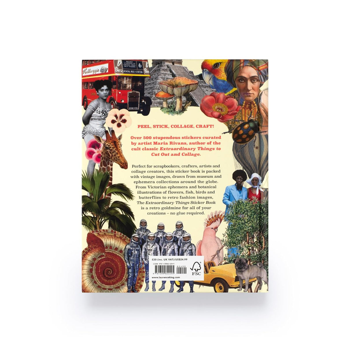 Extraordinary Things Sticker Book