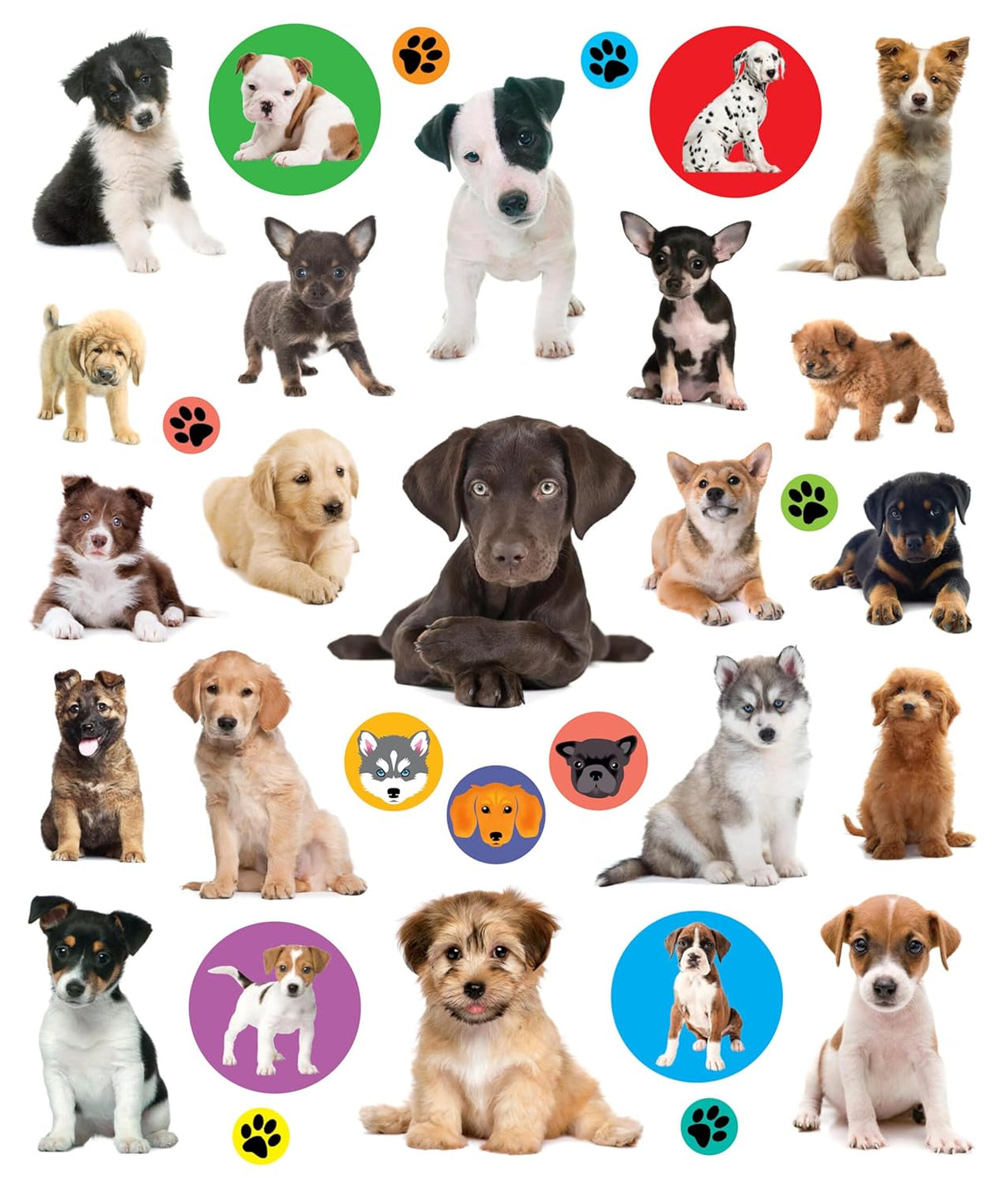 Eyelike Stickers: Puppies Sticker Book