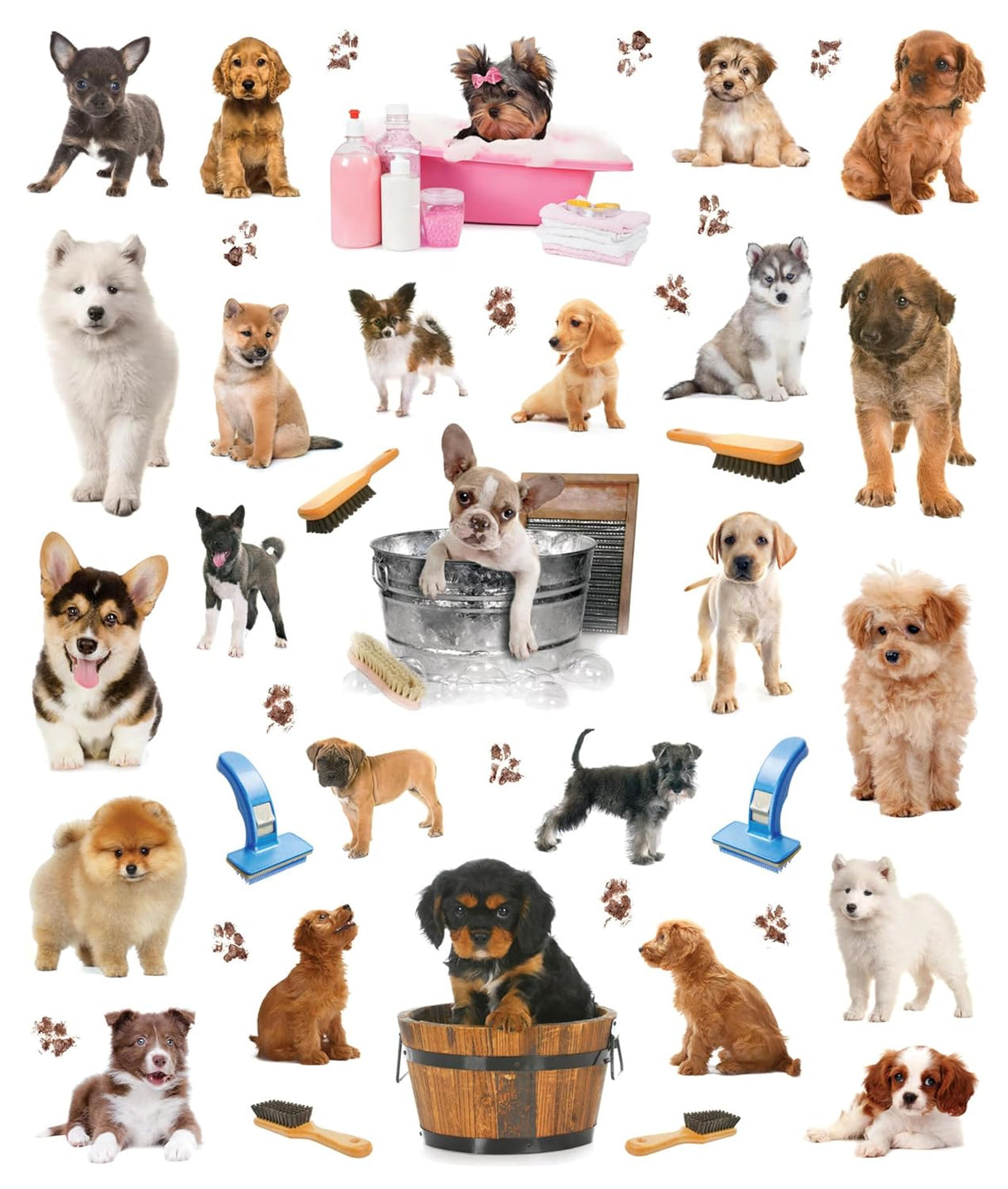 The books’ inside covers are glossy illustrated backgrounds on which kids can create lively and original sticker scenes―and then change them whenever they like. Collage of various dogs and dog grooming items on a white background