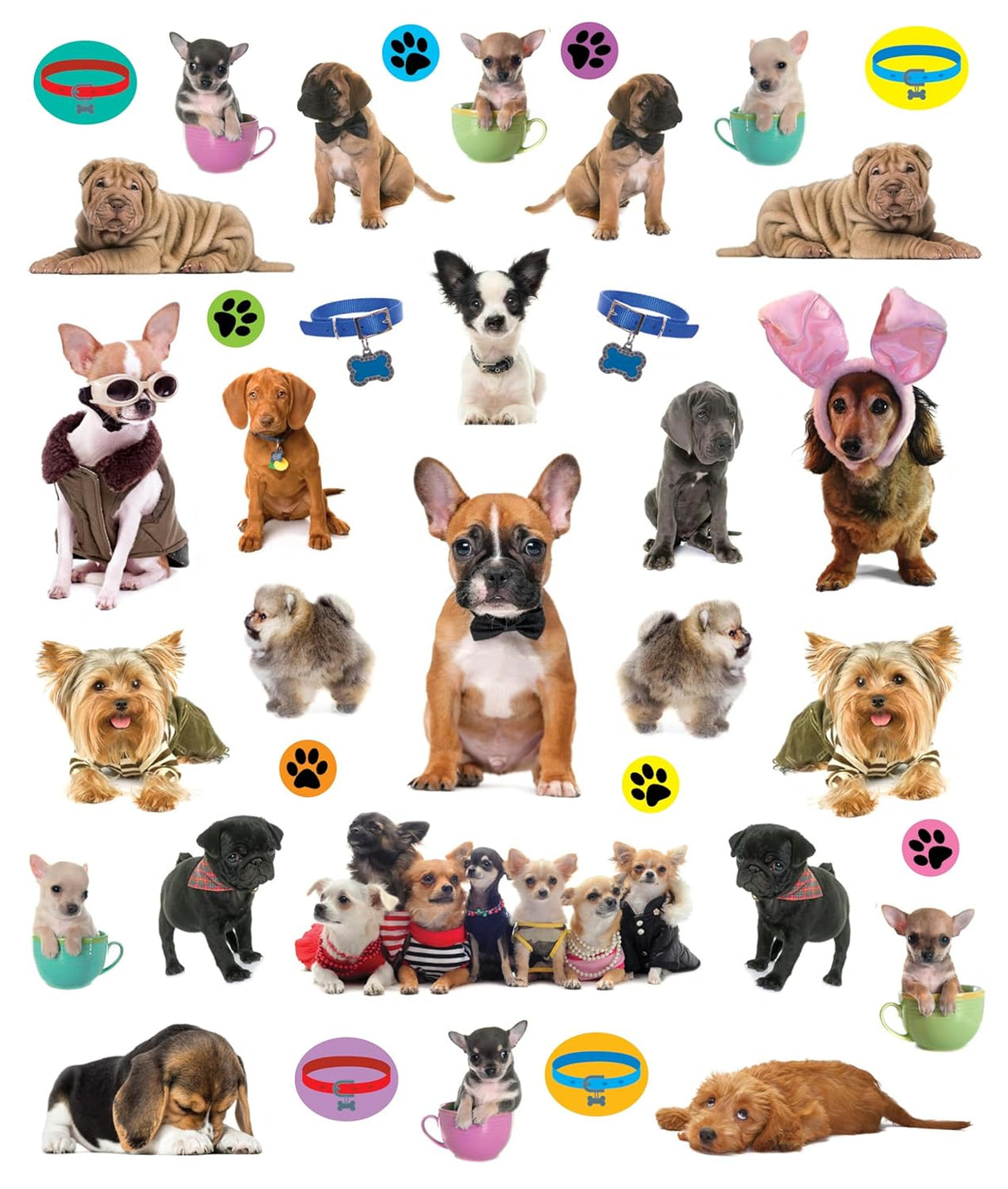The full-color photographic stickers feature a variety of adorable breeds in cute and playful poses that will melt any dog-lover's heart. Whether on windows, notebooks, lunch boxes, or scrapbooks, these peel-and-place stickers are perfect for creating your own work of art anytime, anywhere, and are designed to be stuck on, peeled off, and stuck on again without tearing or losing their “stick.” Collage of various dogs in different poses and outfits with accessories on a white background