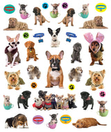The full-color photographic stickers feature a variety of adorable breeds in cute and playful poses that will melt any dog-lover's heart. Whether on windows, notebooks, lunch boxes, or scrapbooks, these peel-and-place stickers are perfect for creating your own work of art anytime, anywhere, and are designed to be stuck on, peeled off, and stuck on again without tearing or losing their “stick.” Collage of various dogs in different poses and outfits with accessories on a white background