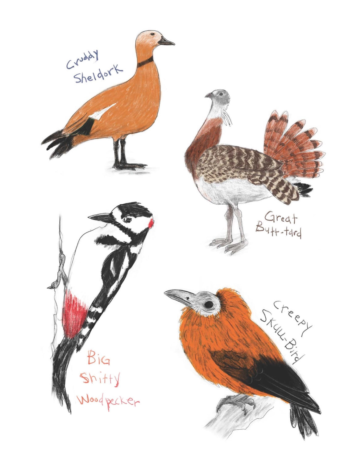 Field Guide To Dumb Birds Sticker Book